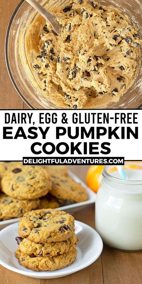 Gluten Free Pumpkin Protein Cookies, Dairy Wheat And Egg Free Recipes, Wheat Egg And Dairy Free Recipes, Allergen Free Pumpkin Recipes, Gf Df Rsf Recipes, Gluten Free Chocolate Chip Pumpkin Cookies, Gluten Free Dairy Free Egg Free Pumpkin Recipes, Wheat Free Egg Free Recipes, Gf Df Egg Free Dessert