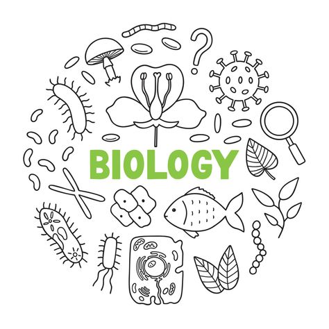 Biology Doodles Aesthetic, Biology Sketches Drawings, Biology Related Drawings, Biology Drawing Ideas Easy, Science Doodles Biology, Biology Doodle Art, School Book Covers Biology, Biology Practical File Cover, Biology Art Draw