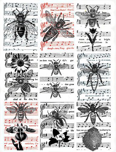 vintage ephemera sheet music bumblebee honey bees collage sheet 2.5" x 3.5" clipart aceo images digital download craft cards tags printables Honey Bees Art, Bees Art, Finance Journal, Bee Tags, Honeybee Art, Bee Stuff, Bee Printables, Free Vintage Printables, Bottle Cap Images