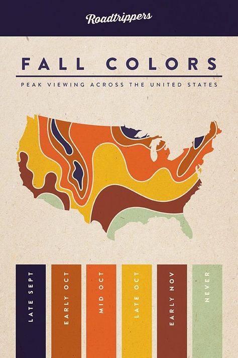 Mapping Fall's Advance - Big Think Leaf Peeping, Autumn Drives, On The Road Again, To Infinity And Beyond, Fall Favorites, Back To Nature, Oh The Places Youll Go, Fall Foliage, Happy Fall