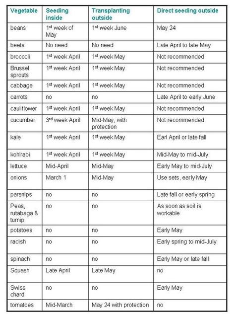 Veggie chart for starting seeds indoors - Calgary Planting Seed, Planting Schedule, Vegetable Planting Guide, Indoor Vegetables, When To Plant Vegetables, Easy Vegetables To Grow, Gardening Zones, Starting Seeds Indoors, Indoor Vegetable Gardening