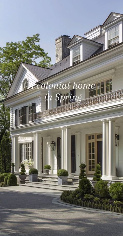 Southern Colonial House Exterior, Modern Colonial House, Colonial Chic, Elegant Bedrooms, Classic Mansion, Modern Grey Living Room, Southern Colonial, House Renos, Colonial House Exteriors