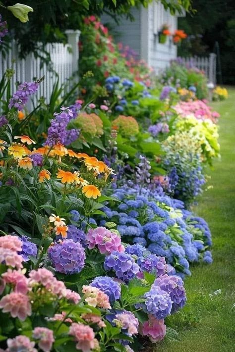 Hydrangea Garden Plan, Hydrangea Landscaping Front Yards, Hydrangea Garden Ideas, Esthetic Business, Hydrangea Flower Bed, Hydrangeas Garden, Fuchsia Plant, Hydrangea Landscaping, Plant Inspiration