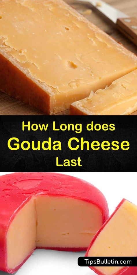 Gouda cheese is a hard cheese and, unlike camembert, feta, and other soft cheeses, it's easy to extend its shelf life by wrapping it in parchment paper and storing it in the fridge or freezing it in aluminum foil. #gouda #cheese #fresh What To Make With Gouda Cheese, Recipes Using Gouda Cheese, Recipes With Gouda Cheese, Freeze Cheese How To, Fod Diet, Freezing Cheese How To, Gouda Recipes, Can You Freeze Feta Cheese, Grilled Cheese Gouda