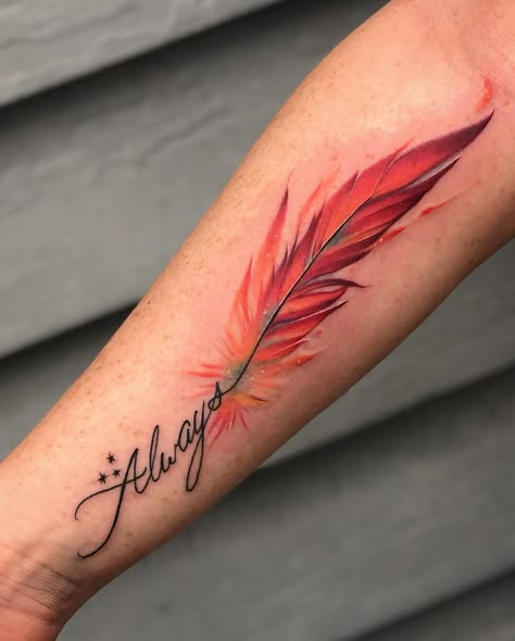 Phoenix Feather Tattoo, Phoenix Feather Tattoos, Feather Tattoo Meaning, Peacock Feather Tattoo, Phoenix Feather, Feather Tattoo Design, Man Tattoo, Arrow Tattoo, Feather Tattoo