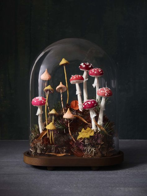 Crafts — THUSS + FARRELL Mushroom Crafts, Mushroom Decor, Mushroom Art, Glass Dome, Glass Domes, Clay Art, Clay Crafts, Fairy Garden, Sake