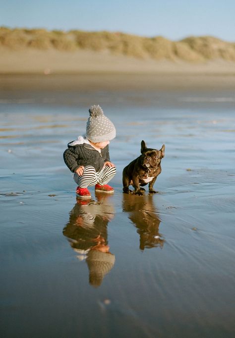 . Love My Dog, 웃긴 사진, Baby Dogs, Mans Best Friend, 귀여운 동물, Animals Friends, I Love Dogs, Animals For Kids, At The Beach