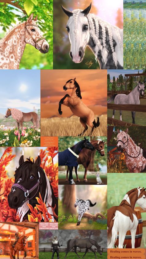 #pferde #sso #starstableonline #game #editedphotos Star Stable Online, Star Stable Horses, Equine Artwork, Drawing Stars, Star Stable, Horse Names, Horse Drawing, Horse Jumping, Pretty Horses