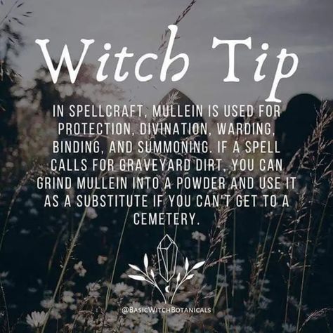 Green Witch Aesthetic, Herbal Witch, Witch Tips, Witch Quotes, Witch Spirituality, Magic Spell Book, Wiccan Spell Book, Witchcraft Spell Books, Witch Spell Book