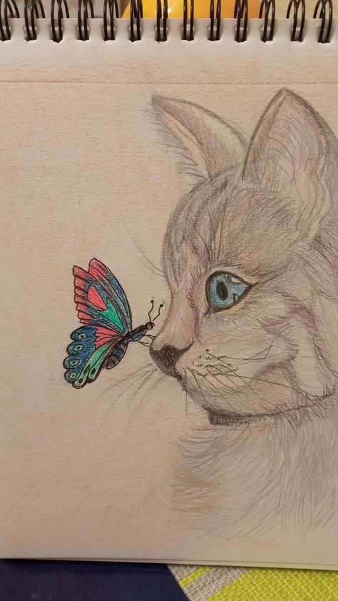 Drawing Of A Cat, Butterfly Art Drawing, Disney Drawings Sketches, Animal Illustration Art, Pencil Sketch Images, Canvas Art Projects, Art Painting Tools, Meaningful Drawings, Art Tools Drawing