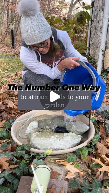 🌸 Mary Ann ~ Seasonal Home & Garden Tips. on Instagram: "7️⃣ Steps HERE 👇🏻
.
🕊 The number one way to attract birds to your garden is… WATER!! 
.
🕊 If you LOVE watching backyard birds while you are gardening you want to do this:
.
*️⃣ Steps to creating a backyard bird bath with smart camera:
.
1️⃣ Location.
.
🕊A spot in your garden with good cover from predators and a good lookout spot for the birds to evaluate the bird bath. It also has to be close to an outdoor outlet. 
.
2️⃣ A large tray:
.
🕊 Large enough and deep enough for the pump and slate/rocks.
.
3️⃣ Pieces of slate & rocks:
.
🕊You need 2 large pieces of slate, each resembling a semicircle. Both need to be different thicknesses to offer a deep and shallow end for your birds. 
.
🕊 The deeper end is for larger birds like rob Bird Bath With Rocks, Natural Bird Bath, Diy Bird Waterer, Diy Cement Bird Bath, Bird Oasis Backyard, Homemade Bird Bath, Bird Bath Ideas Landscaping, Bird Bath In Garden, Bird Area In Backyard