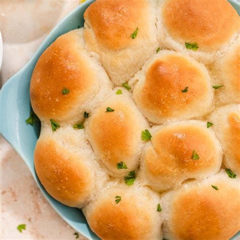 Sister Schubert Dinner Rolls Recipe. There are any references about Sister Schubert Dinner Rolls Recipe in here. you can look below. I hope this article about Sister Schubert Dinner Rolls Recipe can be useful for you. Please remember that this article is for reference purposes only. #sister #schubert #dinner #rolls #recipe Dinner Yeast Rolls Recipe, Dinner Yeast Rolls, Scallion Scones, Cheddar Drop Biscuits, Yeast Dinner Rolls Recipe, Sister Schubert, Yeast Dinner Rolls, About Sister, Vegan Buttermilk