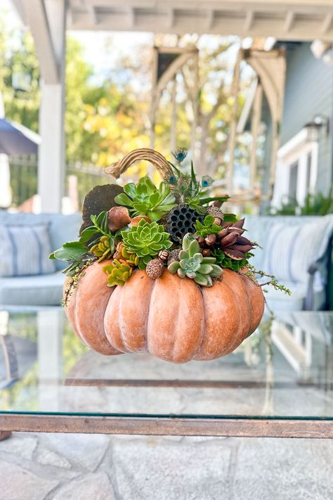 Succulent Pumpkins Centerpiece, How To Make Succulent Pumpkins, Pumpkin Succulent Centerpiece, Hydrangea Planters, Types Of Pumpkins, Succulent Pumpkin, Pumpkin Centerpiece, Cinderella Pumpkin, Succulent Cuttings