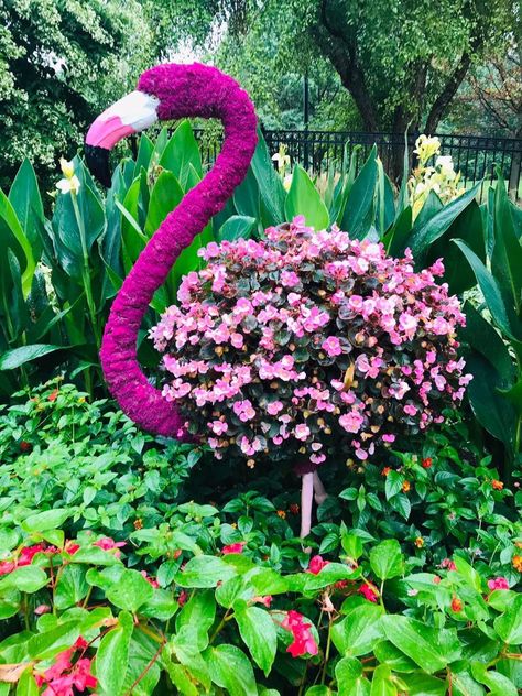 Flamingo Garden, Garden Art Sculptures Diy, Topiary Garden, Flamingo Decor, Recycled Garden, Garden Art Diy, Garden Art Sculptures, Outdoor Decor Backyard, Garden Show