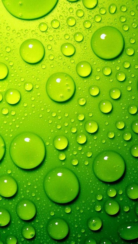 Lime Green Rain Drops iPhone Wallpaper Energy Wallpaper, Wallpaper Hijau, Iphone 5 Wallpaper, Bubbles Wallpaper, Green Bubble, Widescreen Wallpaper, Water Droplets, Leaf Wallpaper, Green Energy