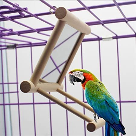 Amazon.com : Bird Mirror Bird Swing, Parrot Cage Toys,Swing Hanging Play with Mirror for Macaw African Greys Parakeet Cockatoo Cockatiel Conure Lovebirds Canaries by Old Tjikko，1 PC (3.7x3.5 x3.5inch) : Pet Supplies African Grey Parrot Toys, Finch Cage, Handmade Bird Toys, Cockatiel Cage, Bird Cage Accessories, Bird Accessories, Bird Aviary, Bird Stand, Parrot Cage