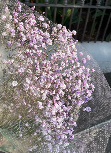 Purple Baby Breath Aesthetic, Baby Breath Flower Aesthetic, Baby's Breath Aesthetic, Baby Breath Aesthetic, Purple Baby Breath, Babys Breath Aesthetic, Breath Aesthetic, Desk Flowers, Small Purple Flowers