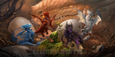 Baby Dragons by https://www.deviantart.com/sandara on @DeviantArt Two Headed Dragon, Baby Dragons, Dragons Sleeping, Sleeping Dragon Art, Pregnant Dragon Art, Baby Dragons Drawing, Baby Dragon Art, Elemental Dragons, Tiny Dragon