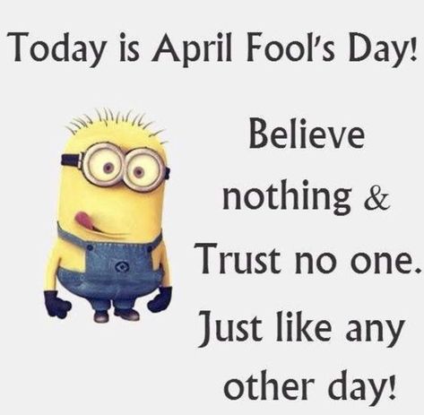 April Fools Day Image, April Fool Quotes, Minions Jokes, Fool Quotes, April Fools Day Jokes, Vintage Funny Quotes, April Quotes, Minion Love, Minions 1