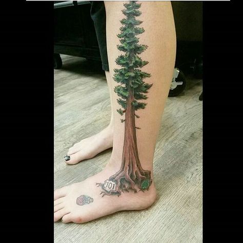 Great redwood tattoo by artist Dan Dozier. Love the 101 sign at the base there. Great work! #primaldecor #makingbodiesbeautiful #linesfordays #tattooedandglorious #artistsofhumboldt #humboldttattoos #humboldtgrownandraised Tree Calf Tattoo, Throne Tattoo, Redwood Tree Tattoo, Black Throne, Redwood Tattoo, Tree Tattoo Ideas, Tree Tattoo Meaning, Dna Tree, Zombie Eyes