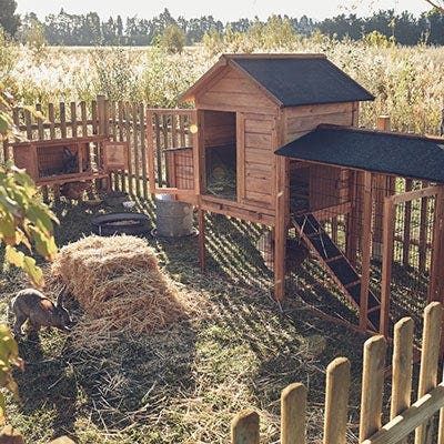 Large Rabbit Hutch Outdoor, Rabbit Hutch Outdoor, Large Rabbit Hutch, Outdoor Rabbit, Outdoor Rabbit Hutch, Rabbit Habitat, Rabbit Farm, Pet Bunny Rabbits, Indoor Rabbit