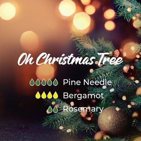 Essential Oils Christmas Blends, Christmas Tree Diffuser Blend, Christmas Tree Essential Oil Blend, Christmas Tree Essential Oil, Diy Diffuser, Christmas Diffuser Blends, Essential Oil Diffuser Blends Recipes, Essential Oils Health, Essential Oil Diffuser Recipes