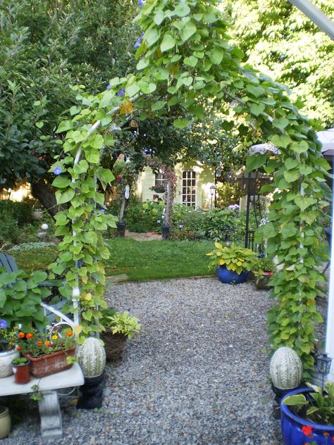 I love arbours Archway Ideas, Whimsical Garden, Arbor, Garden Arch, Secret Garden, Diy Home Decor, Indoor Outdoor, Arch, Home Diy