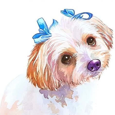 Watercolor Pet Portraits | Dress your Shih Tzu in finery and bows 🎀 | Instagram Portrait Dress, Instagram Dress, Watercolor Pet Portraits, Labradoodle, Shih Tzu, Pet Portraits, Pet, On Instagram, Instagram