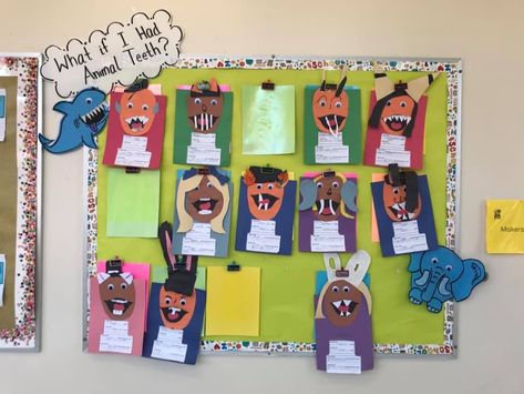 Teeth Activity, Animal Teeth, 1st Grade, Classroom Management, First Grade, What If, Education, Animals