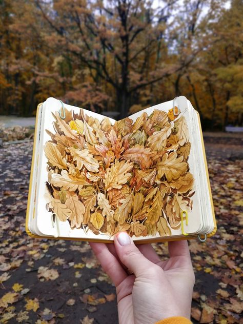 Watercolor Oak Leaves, Autumn Sketchbook, Fall Leaves Drawing, Botanical Sketchbook, Art Shed, Buddhist Art Drawing, Nature Sketch, Leaves Autumn, Watercolour Inspiration