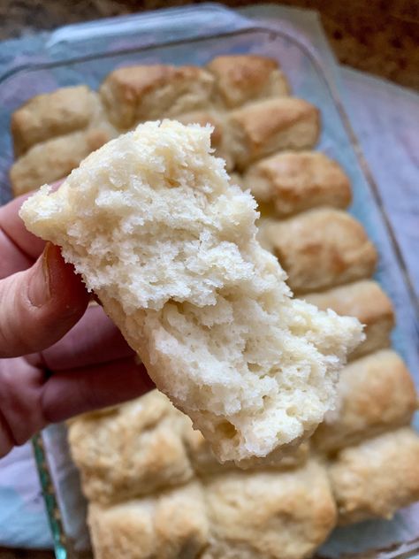 High Rise Yeast Biscuits - Amy Bakes Bread Yeast Baked Goods, Biscuits With Yeast, Yeast Biscuits, Biscuit Sandwich, Gluten Free Biscuits, How To Make Biscuits, Breakfast Bread, Lunch Meat, Instant Yeast