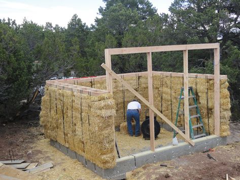 Straw Bale Building, Straw Bale Construction, Cold Frames, Best Greenhouse, Straw Bale House, Straw Bales, Straw Bale, Greenhouse Plans, Green Houses