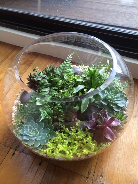 Glass terrarium ideas