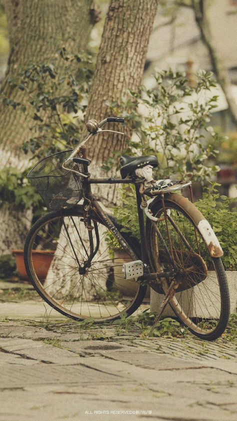 Aesthetic Bicycle Pictures, Bicycle Aesthetic Vintage, Vintage Bike Aesthetic, Cozy Witch, Bicycle Aesthetic, Old Fashioned Bicycle, Aesthetic Bike, Jerry Wallpapers, Bicycle Pictures