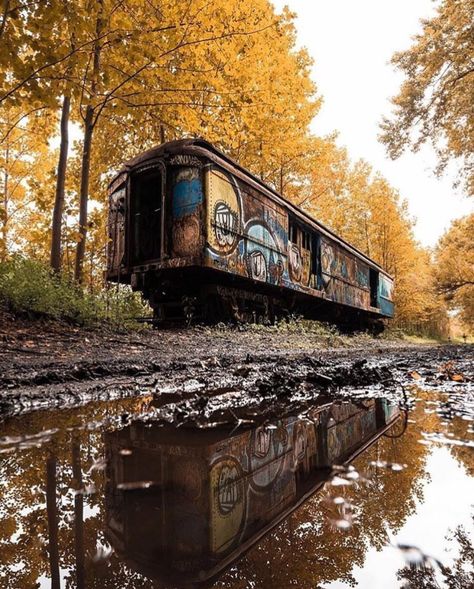 Railroad Track Pictures, Abandoned Trains, Track Pictures, Derelict Buildings, Building Photography, Abandoned Train, Abandoned Ships, Railroad Photography, Old Trains