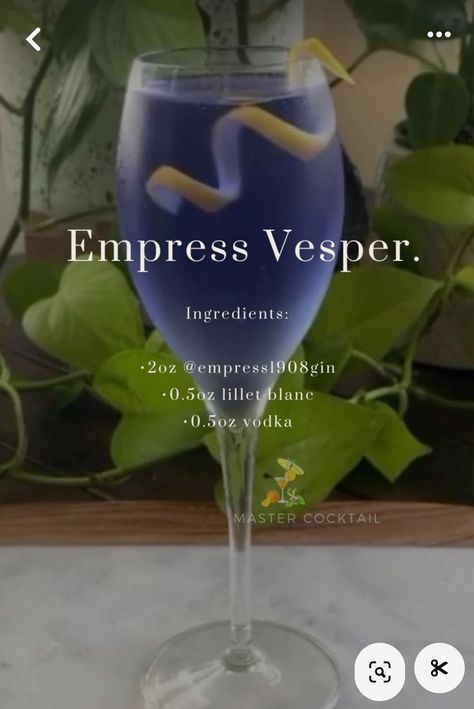 Empress Gin, Gin Drink Recipes, Booze Drink, Glass Garnish, Cocktails To Try, Gin Drinks, Lemon Twist, Boozy Drinks, Fancy Drinks