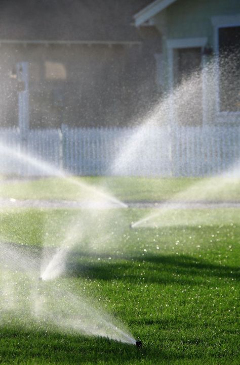 watering lawn Watering Lawn, Pergola Pictures, Garden Sprinklers, Landscaping Business, Lawn Care Tips, Lawn Service, Lawn Sprinklers, Garden Design Layout, Planting Shrubs