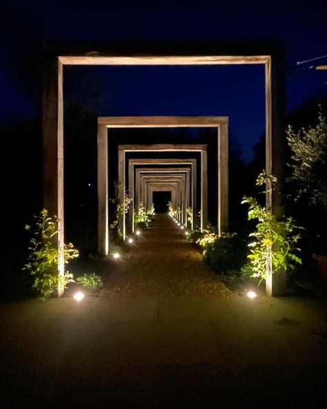 SW Gardens and Landscapes Ltd on Instagram: "Day or Night?? 🤔🤩 #pergola #oak #lighting #cambridge #landscaper #landscaping #garden #path" Garden Hardscape, Pergola Lighting, Landscaping Garden, Garden Path, Backyard Design, Cambridge, Landscaping, Outdoor Living, Pergola