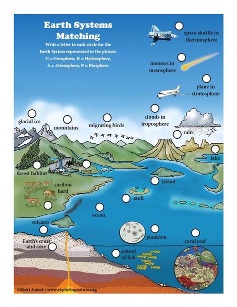 Teach your kids about science through simple, fun activities on Exploringnature.org Earth Systems, About Earth, Forest Habitat, Geography Map, River Forest, Bird Migration, Lake Forest, Space Shuttle, Science Activities