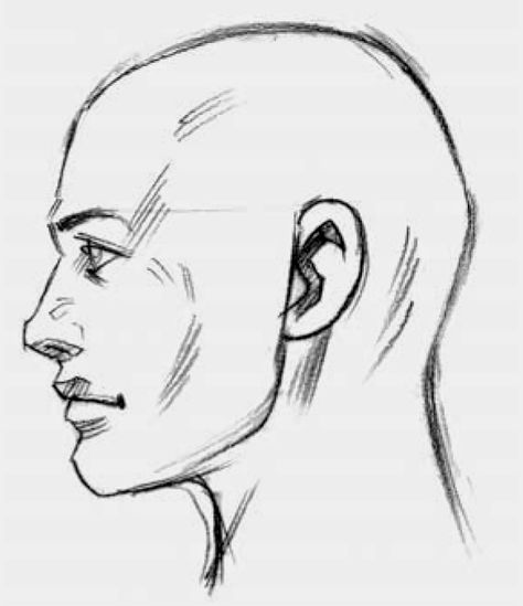 Profile Side-veiw Male Head Side View Drawing, Male Face Side Profile Drawing, Mens Side Profile Drawing, Male Face Side View Drawing, Human Profile Drawing, Person Side Profile Drawing, Easy Side Profile Sketch, Man Side Profile Sketch, Human Side Profile Drawing