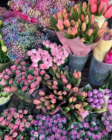 Instagram Flowers, Boquette Flowers, Pretty Pics, Nothing But Flowers, Flower Therapy, Pretty Flower, Beautiful Bouquet Of Flowers, Japanese Flowers, Flowers Pink