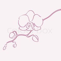 Gallery For > Yellow Orchid Tattoo Orchid Line Drawing Tattoo Ideas, Orchid Outline Tattoo, Simple Orchid Drawing, Orchid Line Art, Orchid Line Drawing, Orchid Flower Embroidery, Orchid Outline, Orchid Sketch, Orchid Illustration