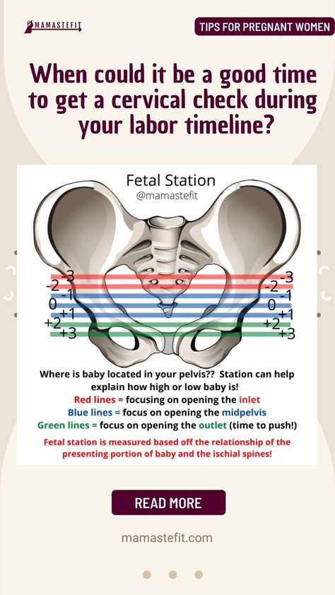 How To Check Cervix Dilation, Purple Line Dilation Labor, Cervical Dilation Chart, Cervix Dilation Chart, Dilation Chart, Cervical Effacement, Dilation And Effacement, Cervix Dilation, Tips For Pregnant Women