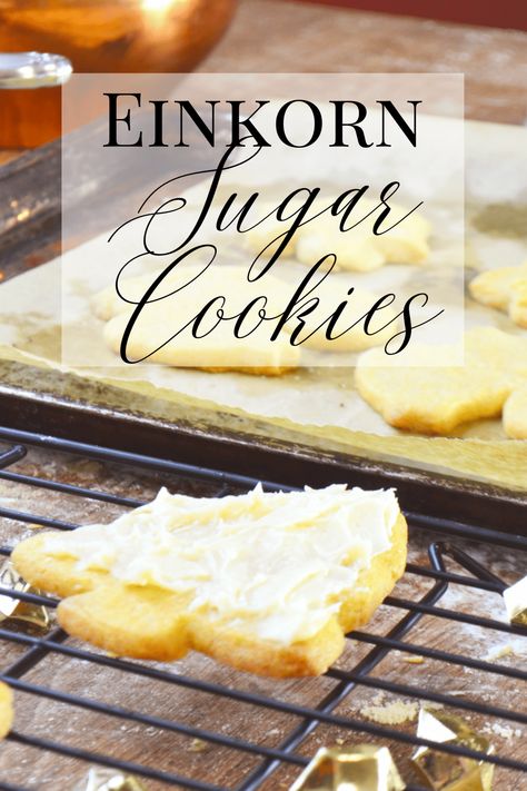 Easy Einkorn Sugar Cookies for Holiday Celebrations - Hilltop in the Valley Cutout Cookies Christmas, Einkorn Cookies, Making Sugar Cookies, Einkorn Recipes, Buttery Sugar Cookies, Lemon Pound Cake Recipe, Einkorn Flour, Cutout Cookies, Frozen Cookie Dough