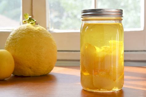 Pomelo pulp may be fabulous, but I am just as enamored with this giant citrus fruit's peel. Lemon Chelo Recipe, Pomello Recipes, Pomelo Recipes, Pomelo Recipe, Lemon Cello Recipe, Pallini Limoncello, Lemon Chelo Limoncello Recipe, Breaded Fish Recipe, Melon Liqueur