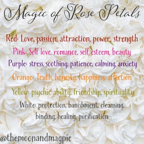 Uses For Rose Petals, Meaning Of Yellow, Rose Petal Uses, Yellow Rose Petals, Womb Healing, Spiritual Meaning, Psychic Abilities, Pink Pearl, Yellow Rose