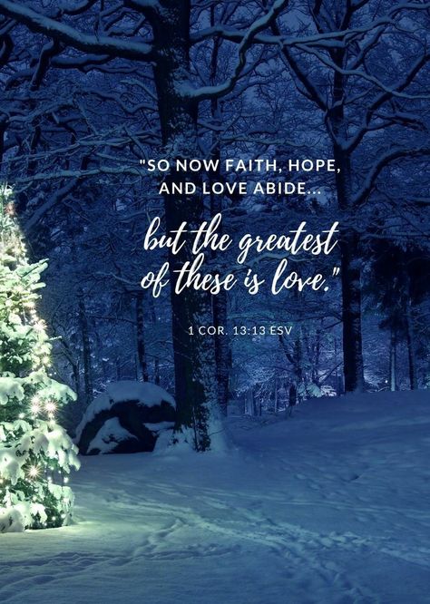 Christmas Bible Verses, Bible Verse Background, God So Loved The World, Christmas Bible, Read The Bible, Gods Love Quotes, Bible Passages, Verses Wallpaper, For God So Loved The World