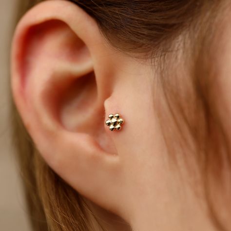 14K Solid Gold Flower Tragus Piercing, Minimalist Gold Tragus Piercing, Flower Stud Piercing, Minimalist Flower Piercing, Stud Ear Piercing by Maresuijewelry on Etsy Flower Piercing, Piercing Collection, Piercing Bar, Piercing Stud, Stud Piercing, Piercing Tragus, Minimalist Flower, Vintage Details, Tragus Piercing