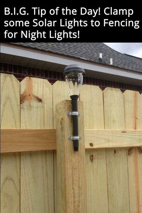 Backyard Solar Lights, Solar Lighting, Pool Noodle, Backyard Lighting, Yard Project, Outside Ideas, Garden Lights, Solar Garden, Backyard Projects