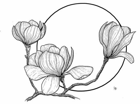 Magnolia Flower Drawing, Magnolia Drawing, Flower Line Drawings, Line Artwork, Flower Art Drawing, Flower Sketches, Floral Drawing, Flower Art Painting, Book Page